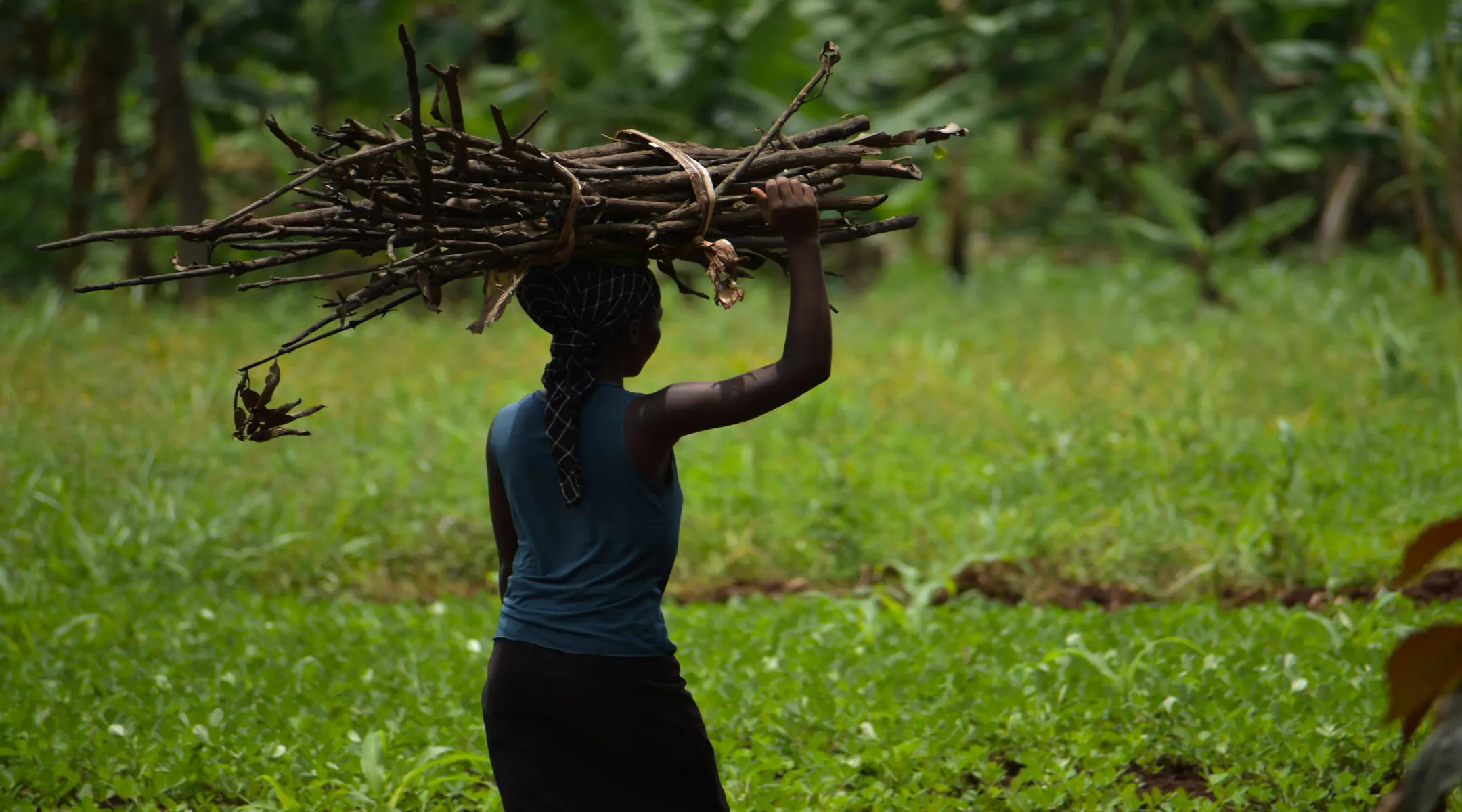 Building Climate Resilience in Haiti through Parametric Insurance