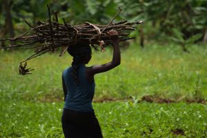 Building Climate Resilience in Haiti through Parametric Insurance